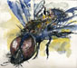 fly