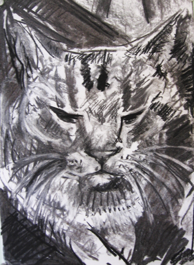 A charcoal drawing of a cat. A Kickstarter Reward art piece