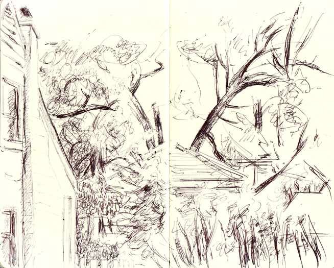 A sketch of trees in Beverly, August 10th, 2012