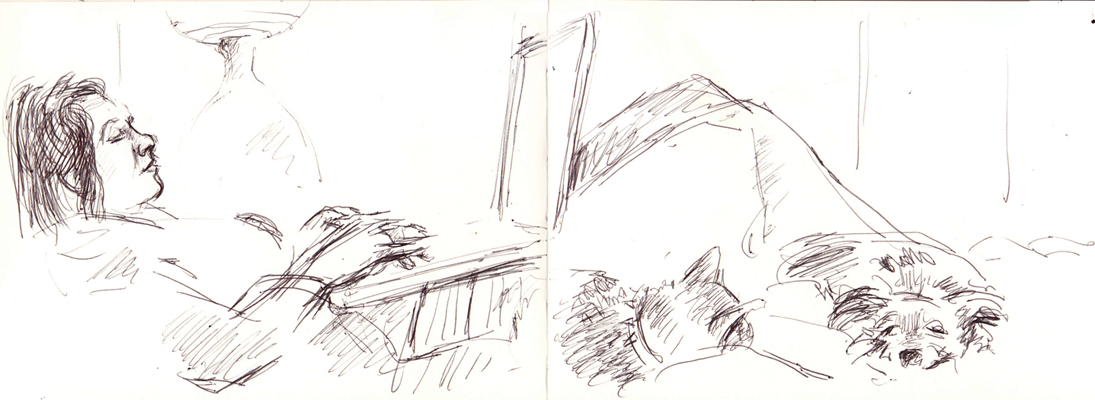 A sketch of Shay and the animals